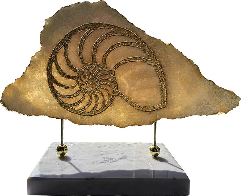 Golden Nautilus, lit by an external source — the stone becomes an amber seabed